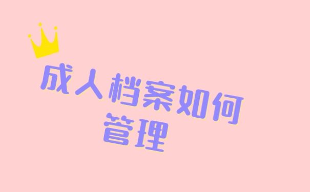 档案
