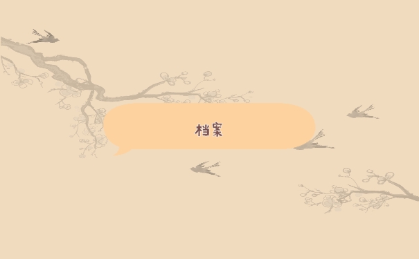 档案