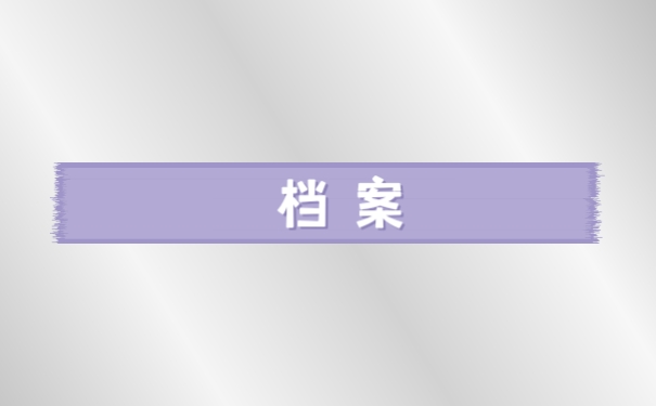 档案