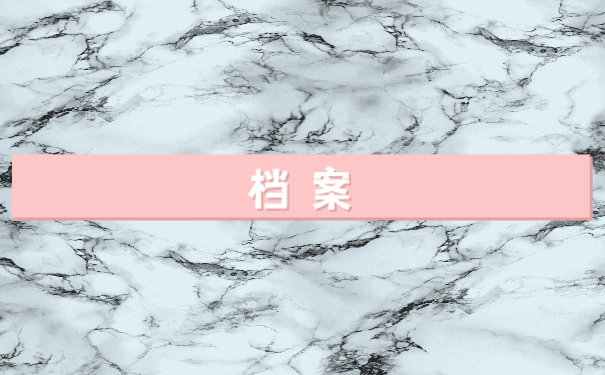档案