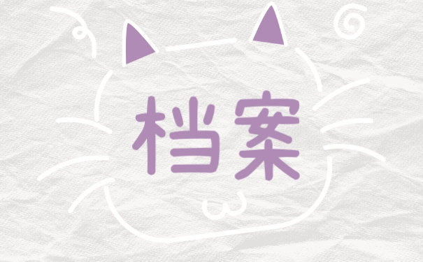 档案