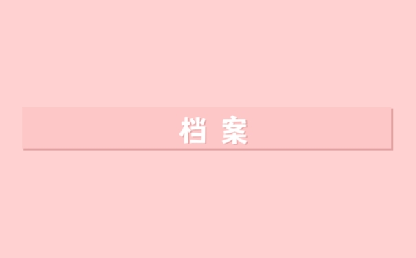 档案