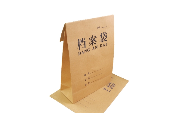 档案