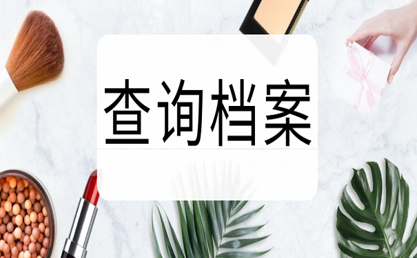 查询档案