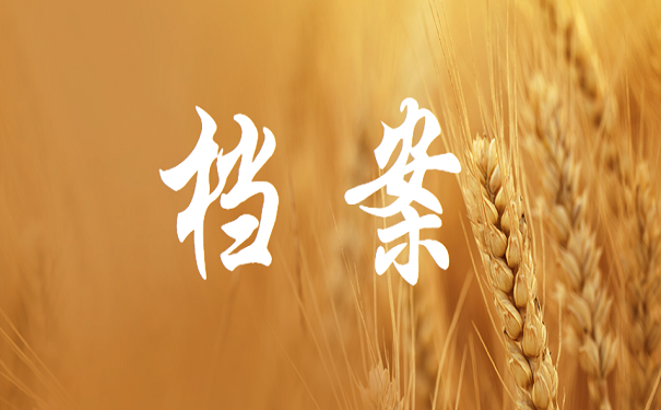 档案