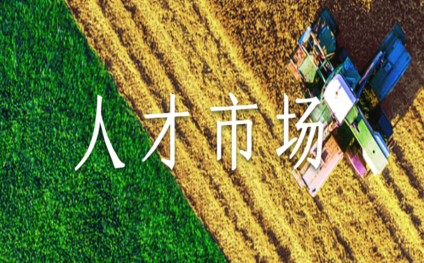 人才市场