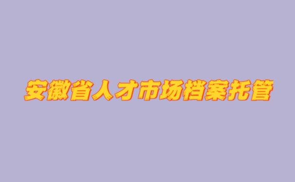 安徽省人才市场档案托管