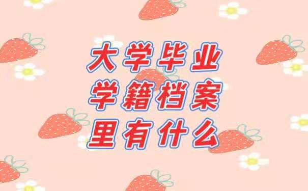 大学毕业学籍档案里有什么