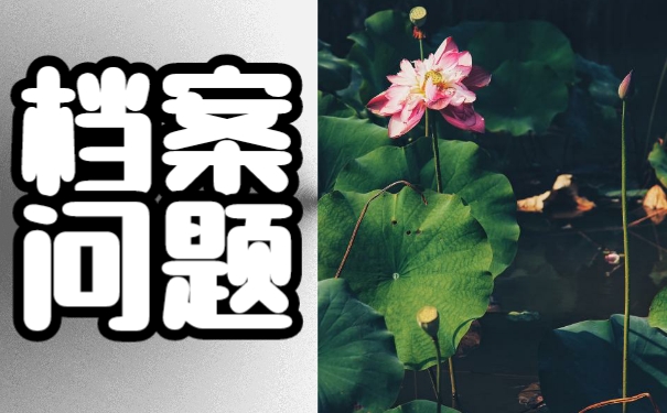 哈尔滨市大学生档案托管