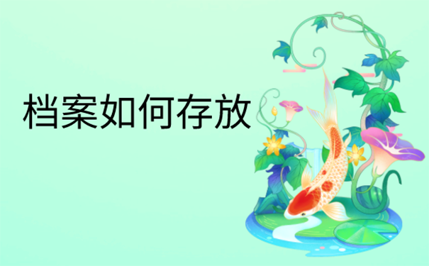 档案可以存放在哪里？