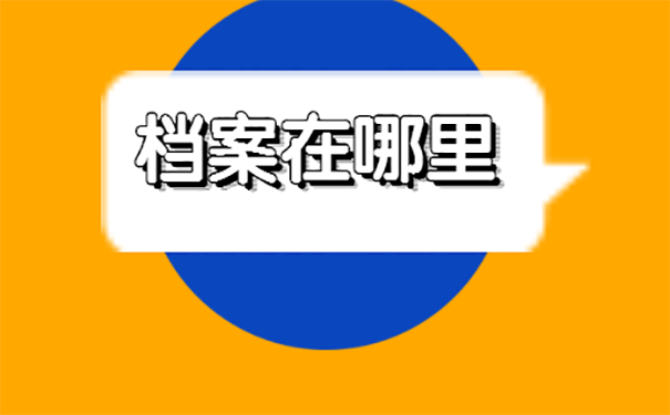怎么查询档案？