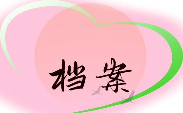 档案