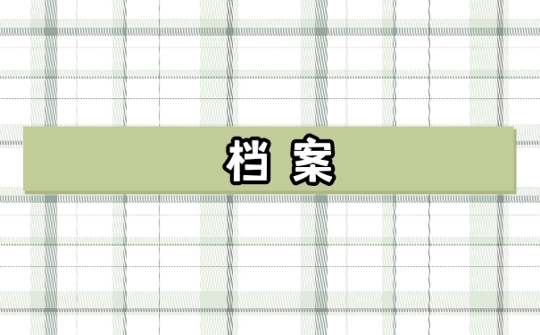 档案