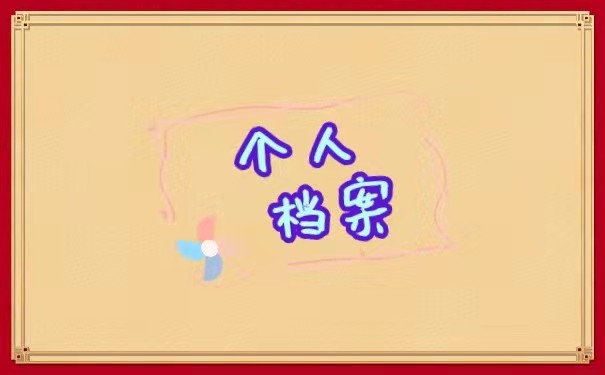 个人档案