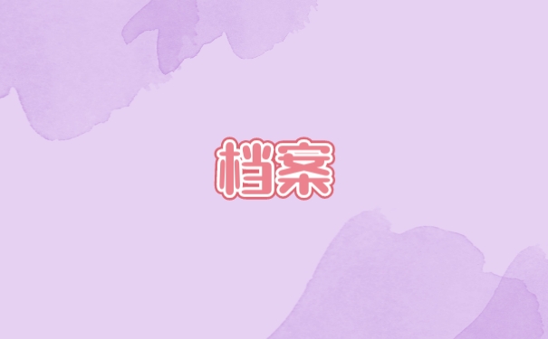 档案