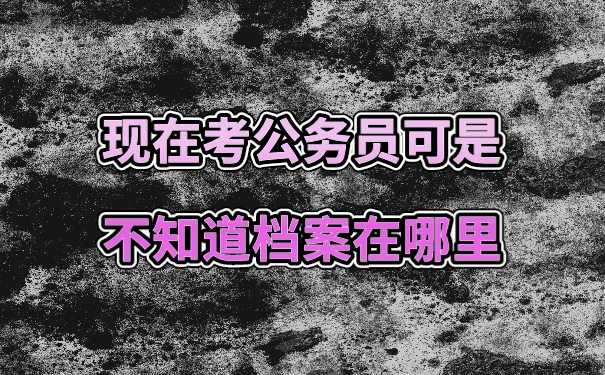 档案