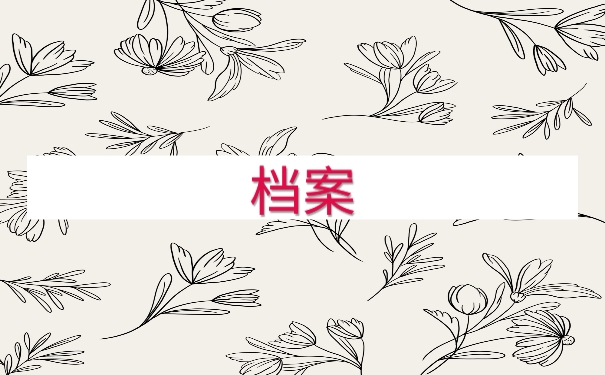 档案