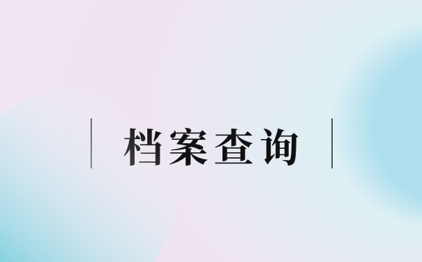 档案查询