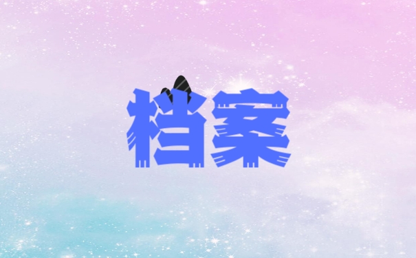 档案