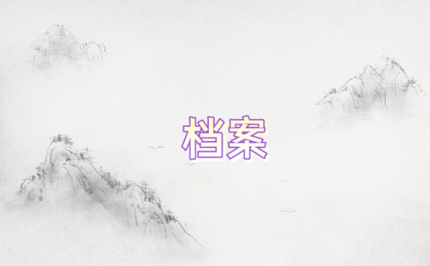 档案