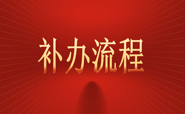 补办流程
