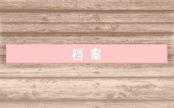 档案