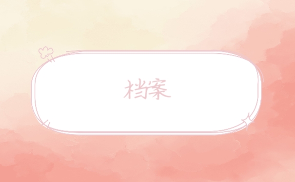 档案