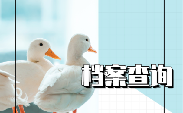 大学毕业怎么查档案存放哪里了