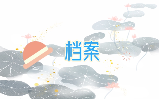 档案