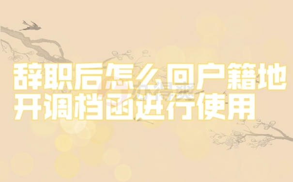 档案