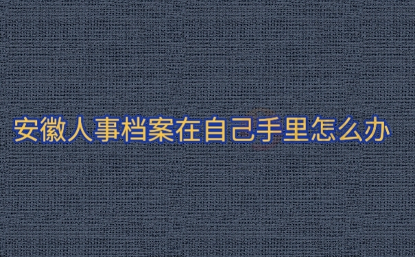 个人档案
