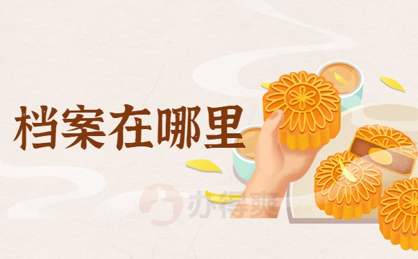 档案在哪里