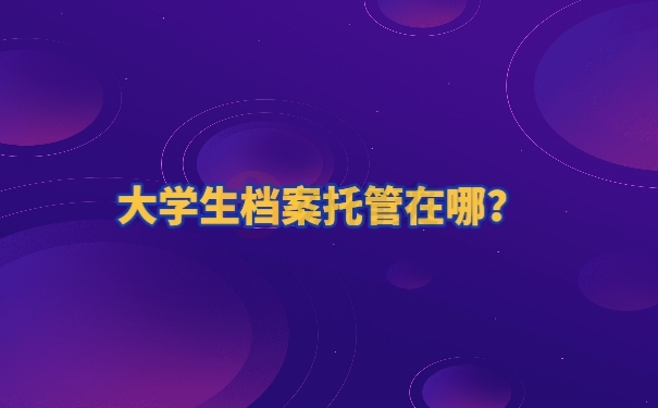 个人档案