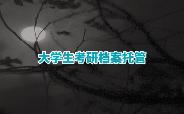 个人档案