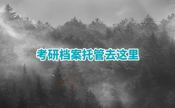 个人档案