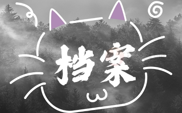 档案