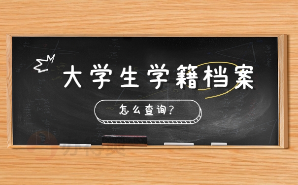 档案查询