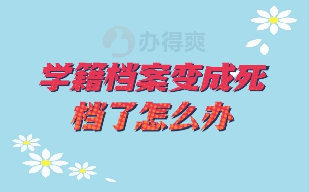 档案