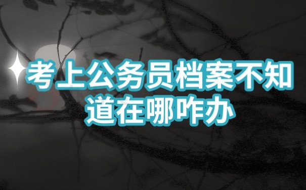 档案