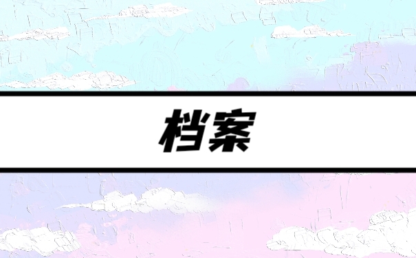 档案