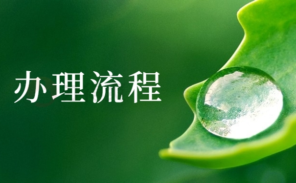 办理流程