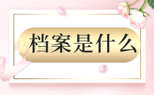 档案是什么