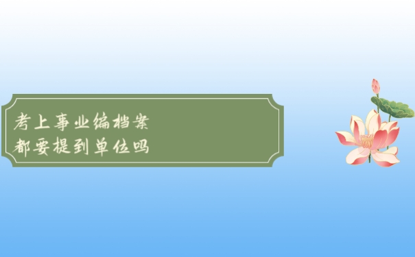 档案