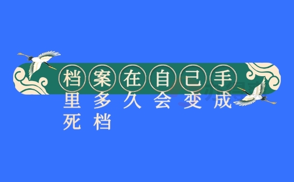 档案