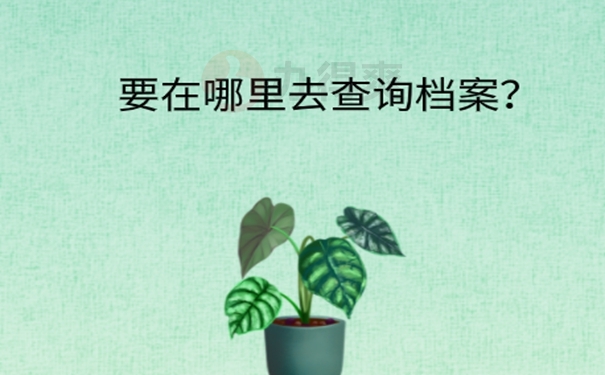 要在哪里查询档案