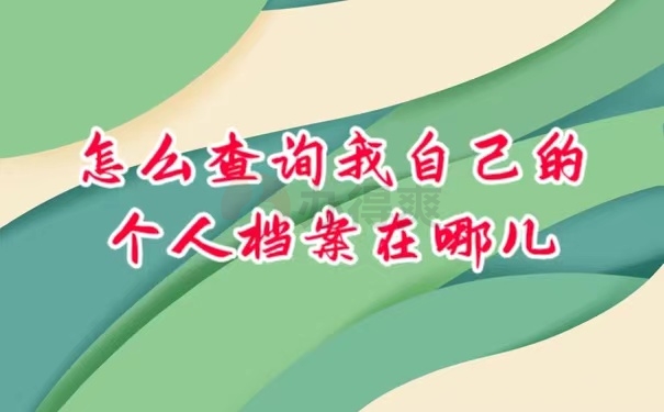 查询档案
