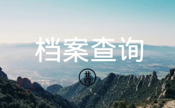 档案查询