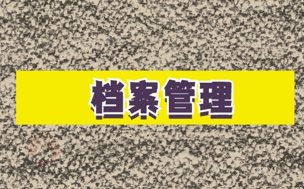 档案