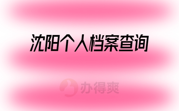 档案查询