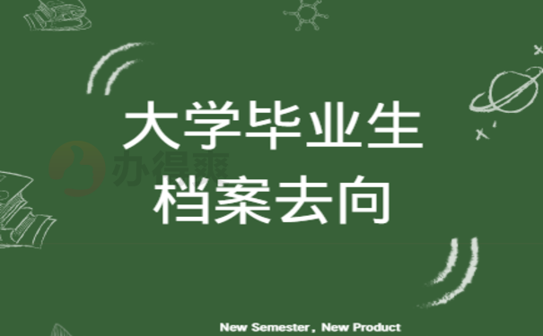大学毕业生档案去向查询